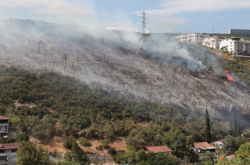 İzmit'te makilik alanda yangın çıktı - Resim : 1