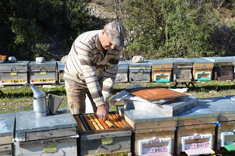 Yarım asırlık arıcı... Bir kovandan 30 kilo bal almanın sırrını açıkladı - Resim : 2