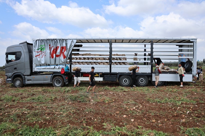 Günde 300 ton patates taşıyorlar, ayda 100 bin lira kazanıyorlar! - Resim : 2