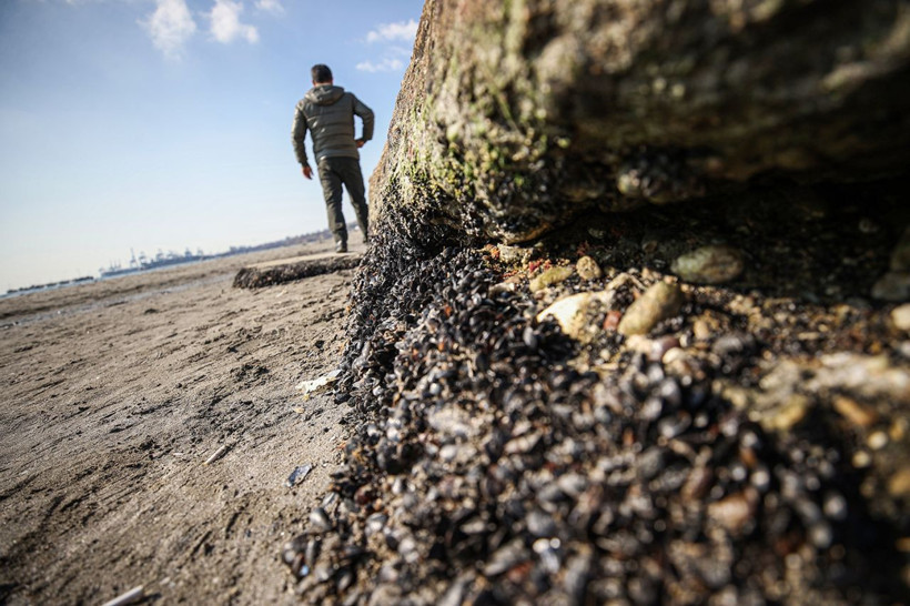 İstanbul'da deniz çekildi; açıklama geldi: 'Sebebi deprem değil' - Resim: 6