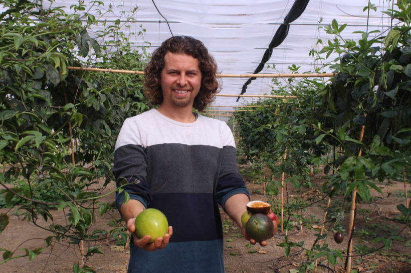 İzmir'de üretti, rotayı Avrupa'ya çevirdi: Reçel, sos ve çay da yapılıyor - Resim: 1