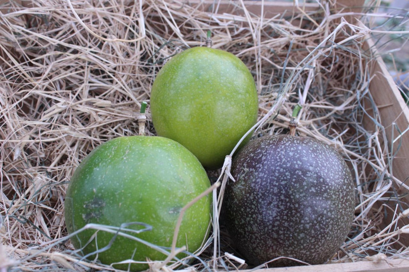 İzmir'de üretti, rotayı Avrupa'ya çevirdi: Reçel, sos ve çay da yapılıyor - Resim: 4