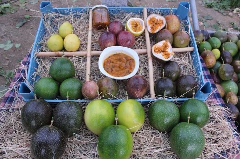 İzmir'de üretti, rotayı Avrupa'ya çevirdi: Reçel, sos ve çay da yapılıyor - Resim: 8