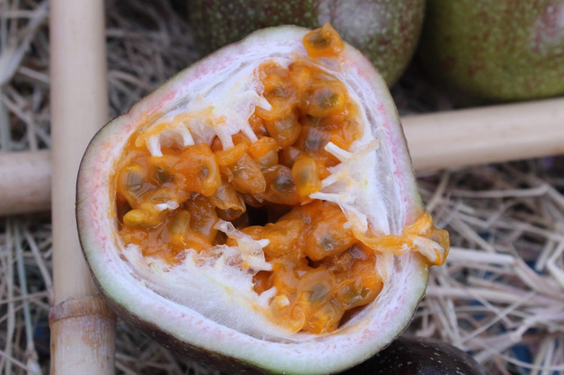 İzmir'de üretti, rotayı Avrupa'ya çevirdi: Reçel, sos ve çay da yapılıyor - Resim: 9