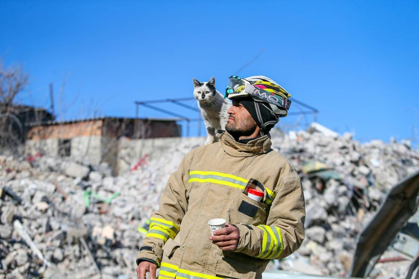 AA'nın 'Yılın Kareleri' oylaması başladı - Resim: 1