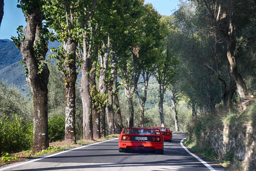 Ferrari, ilk spor otomobili GTO'nun 40. yaşını kutlayacak - Resim: 9