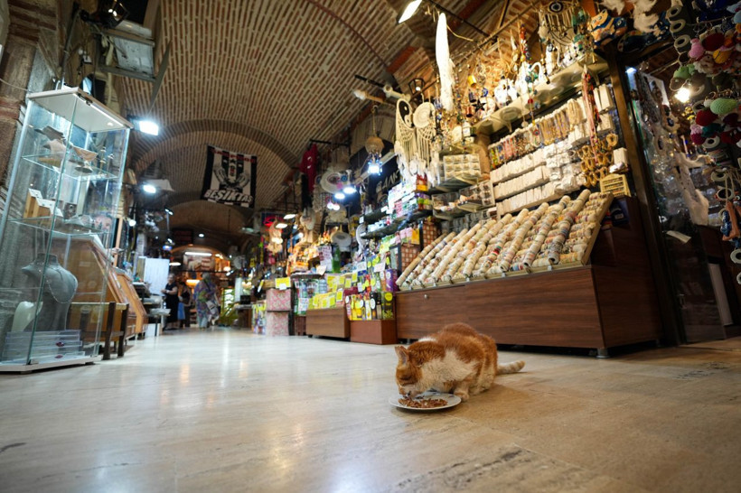 Garfield Tarçın tarihi hanın gözbebeği oldu! Şehir dışından ziyarete geliyorlar - Resim: 6