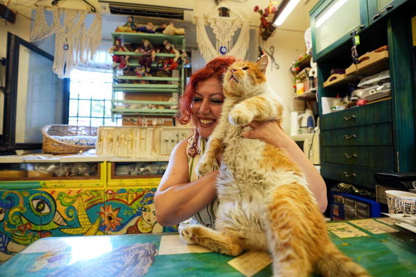 Garfield Tarçın tarihi hanın gözbebeği oldu! Şehir dışından ziyarete geliyorlar - Resim: 15