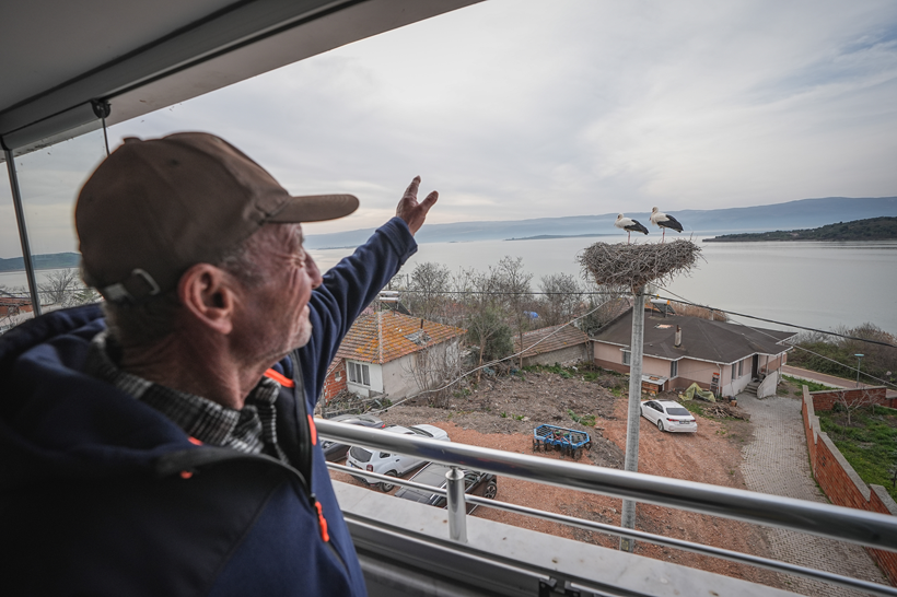 Uluabat Gölü'nün vefalı ziyaretçisi Yaren Leylek, dostu Adem Yılmaz'la buluştu... - Resim: 5