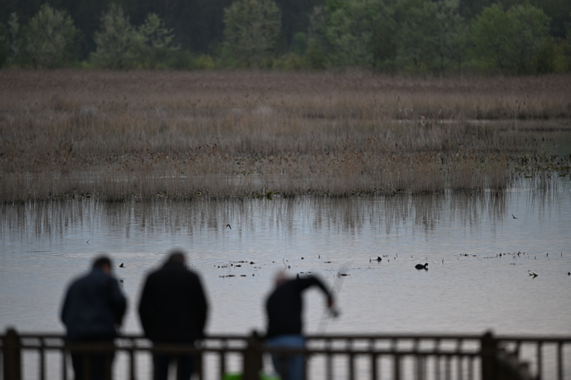 Efteni Kuş Cenneti'nden muhteşem doğa manzaraları! Doğanın keyfini çıkartmak isteyenlere yeşil rota - Resim: 9