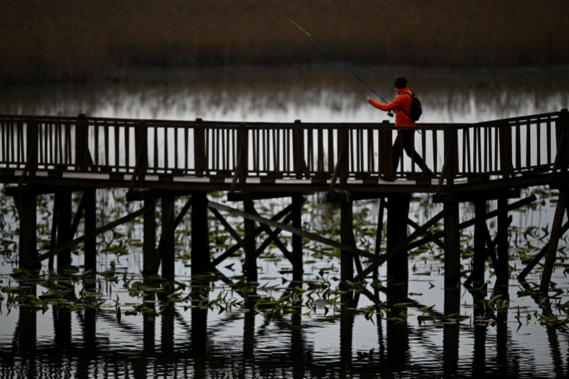 Efteni Kuş Cenneti'nden muhteşem doğa manzaraları! Doğanın keyfini çıkartmak isteyenlere yeşil rota - Resim: 3