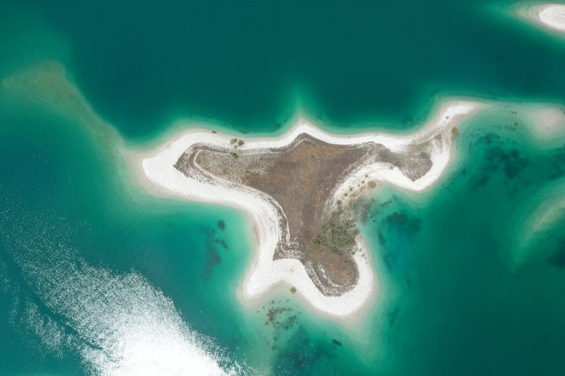 Martıların favori mekânı: Adıyaman'ın 'Martı Adası' - Resim: 8