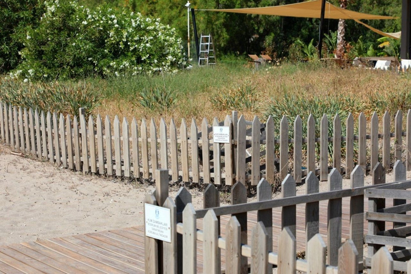 Koparmaya kalkmayın! Kum zambaklarına dokunmanın cezası servet değerinde - Resim: 5