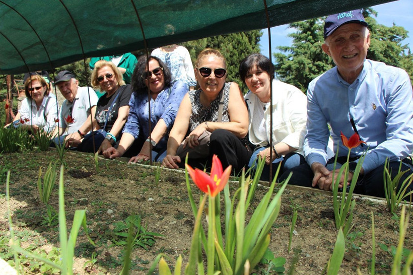 Yılda sadece 2 hafta açıyor: Yitik Türk lalesi anayurdunda çiçeklendi - Resim: 1