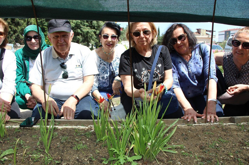 Yılda sadece 2 hafta açıyor: Yitik Türk lalesi anayurdunda çiçeklendi - Resim: 4