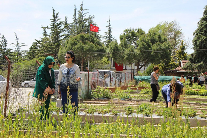 Yılda sadece 2 hafta açıyor: Yitik Türk lalesi anayurdunda çiçeklendi - Resim: 5