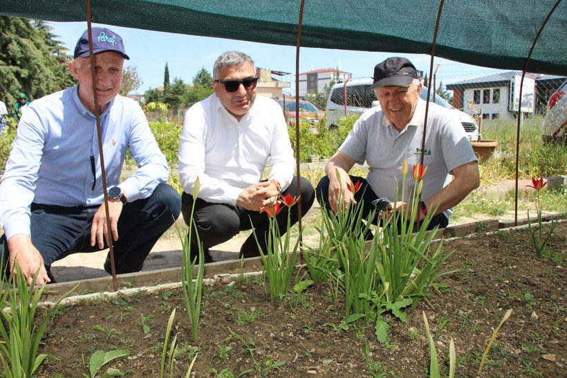 Yılda sadece 2 hafta açıyor: Yitik Türk lalesi anayurdunda çiçeklendi - Resim: 6