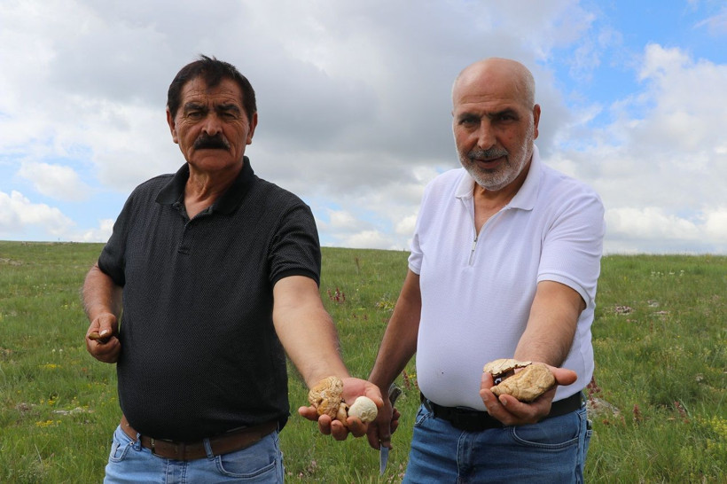 Doğadan bedava protein! Tek tek toplayıp sofralara taşıyorlar - Resim: 2