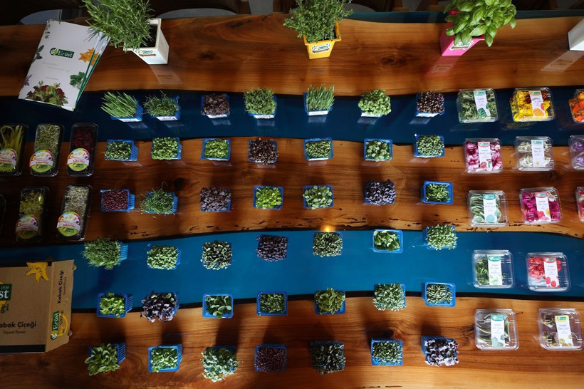 Yenilebilir çiçekler sofralarda! Lüks restoranların menülerinde yerini alıyor - Resim: 1