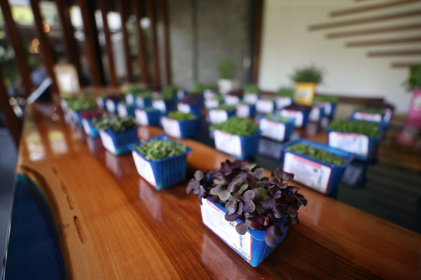 Yenilebilir çiçekler sofralarda! Lüks restoranların menülerinde yerini alıyor - Resim: 6