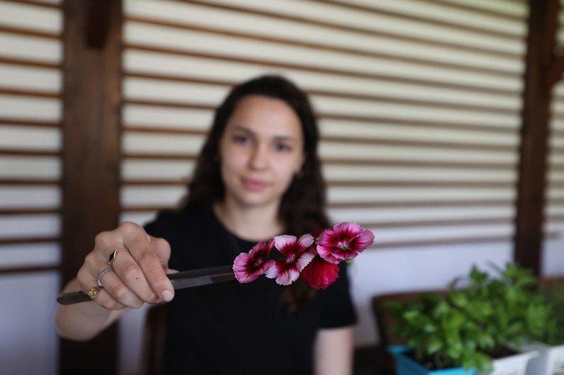 Yenilebilir çiçekler sofralarda! Lüks restoranların menülerinde yerini alıyor - Resim: 8