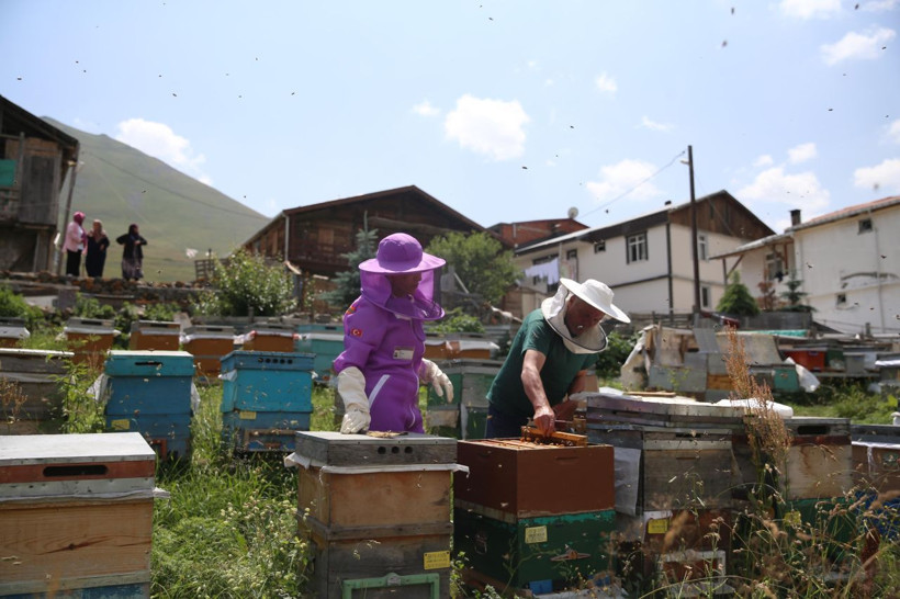 Çiftçileri üzen zirai don arıcıları şaşkına çevirdi: Anzer balında rekor rekolte! - Resim: 5