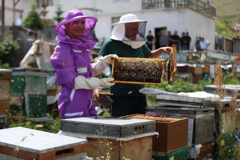 Çiftçileri üzen zirai don arıcıları şaşkına çevirdi: Anzer balında rekor rekolte! - Resim: 1