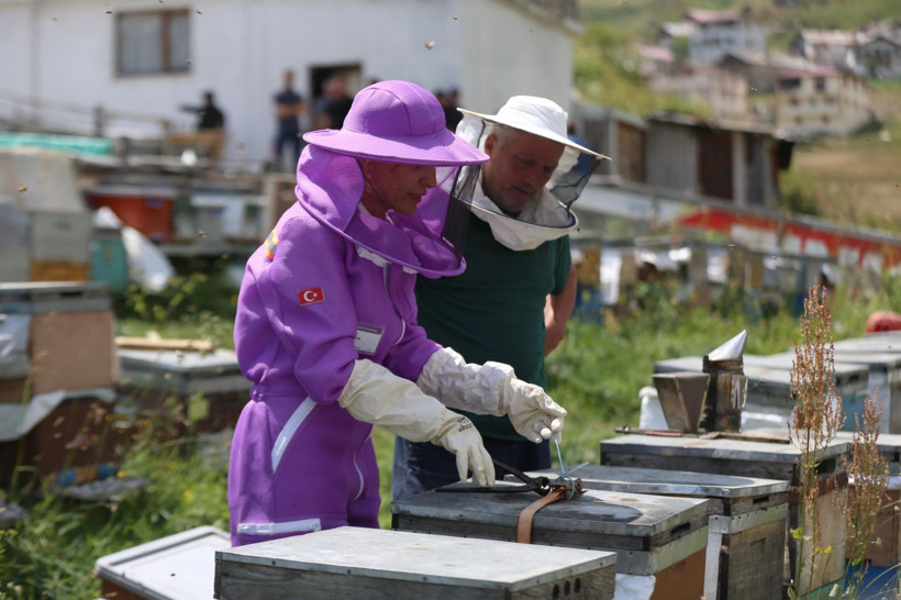 Çiftçileri üzen zirai don arıcıları şaşkına çevirdi: Anzer balında rekor rekolte! - Resim: 6