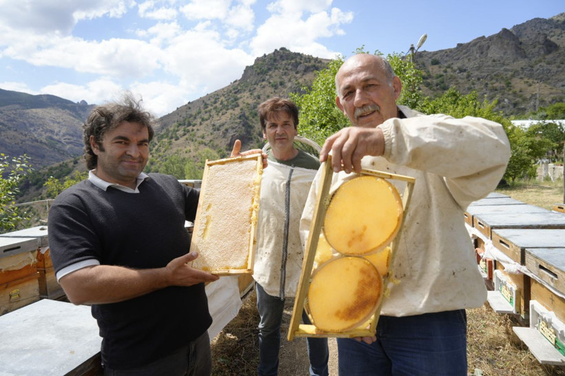 Anzer balına rakip! Kilosu 2 bin liraya kadar çıkıyor - Resim: 1