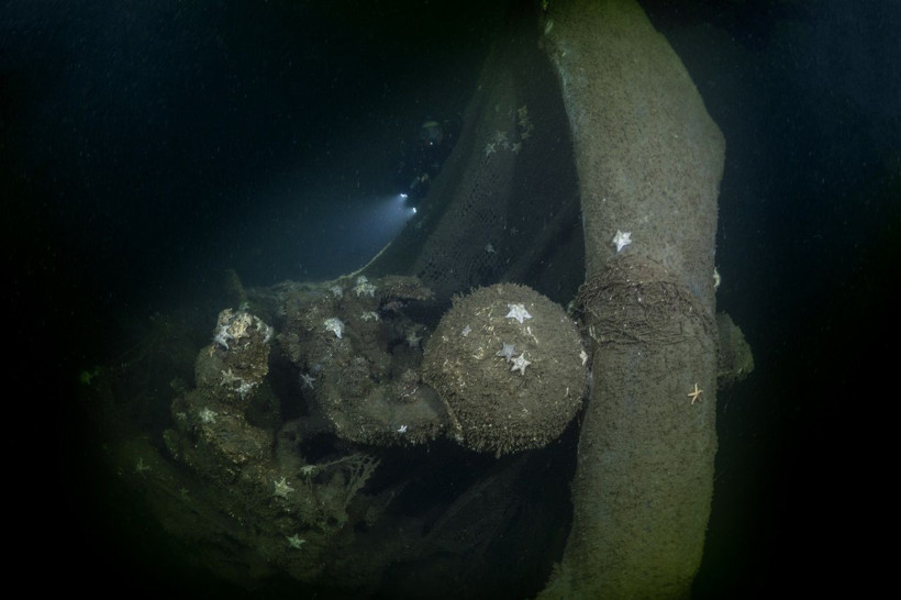 17 Ağustos depreminin izleri deniz altında: 26 yıl sonra görüntülendi - Resim: 8