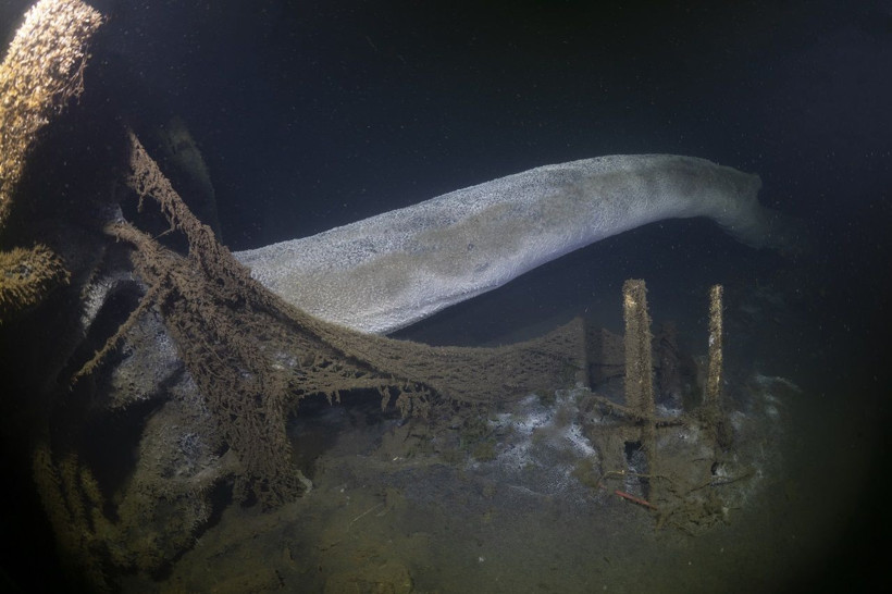 17 Ağustos depreminin izleri deniz altında: 26 yıl sonra görüntülendi - Resim: 6