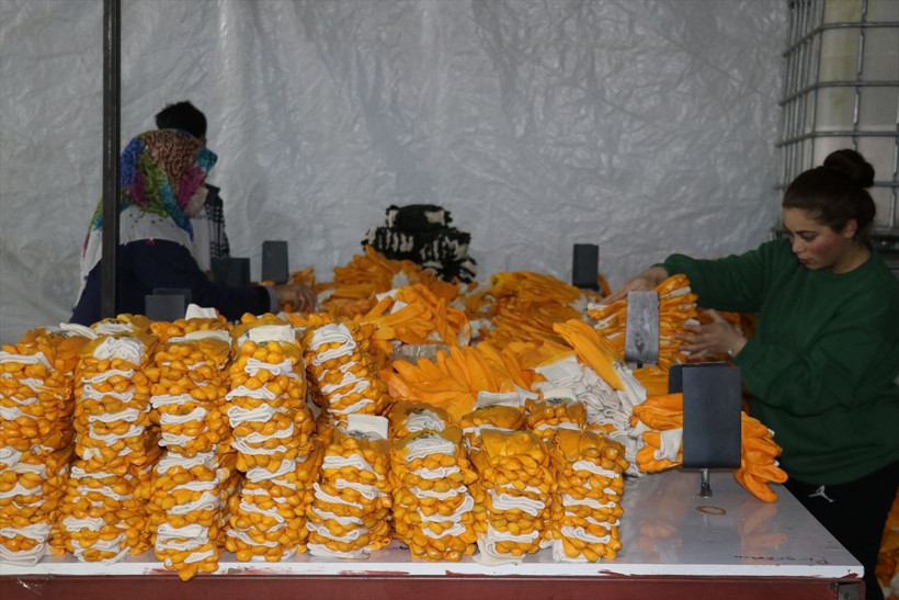 Ailesinin işinden etkilenip fabrika kurdu - Resim: 8