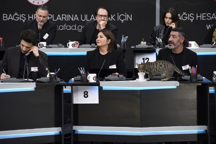 Türkiye Tek Yürek: Ortak canlı yayında rekor bağış - Resim: 34