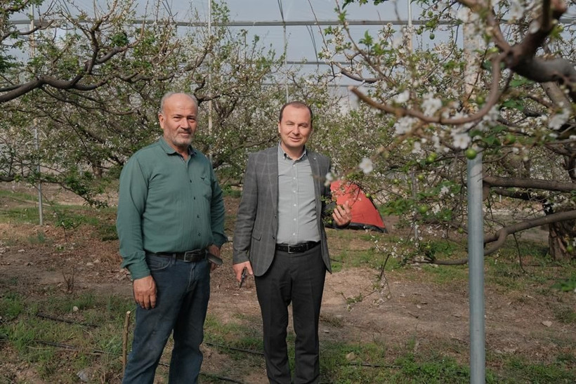 Erik hasadı başladı: Kilogram fiyatı cep yakıyor - Resim: 6