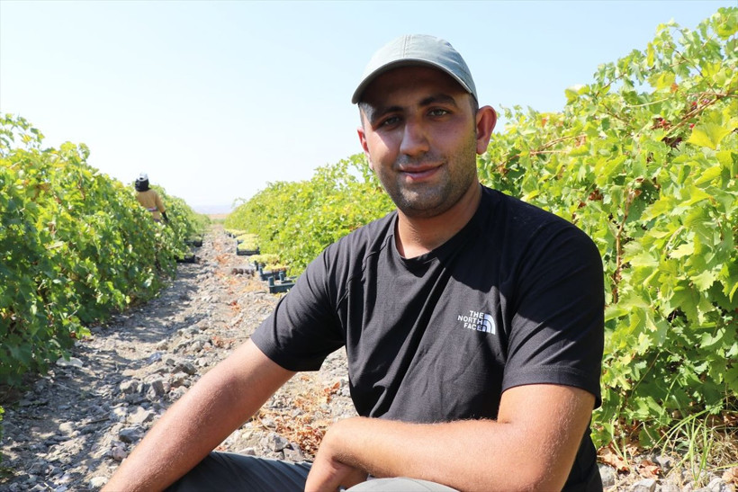 110 bin dekar alanda yetiştirildi, birçok şehre gönderiliyor - Resim: 16