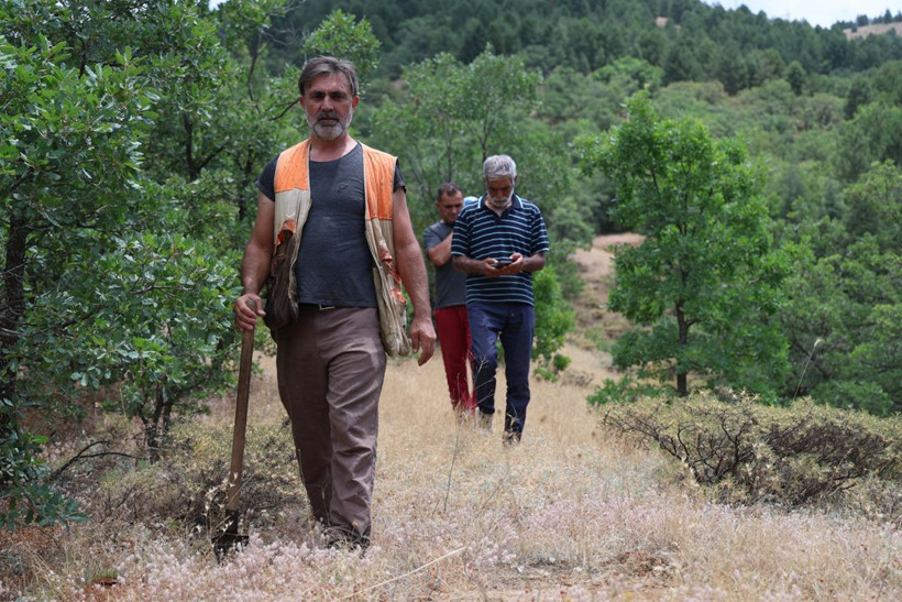 Kilosu 15 bin TL'yi buluyor, dünyanın en pahalısı! Özel eğitimli köpekle trüf mantarı avı - Resim: 8