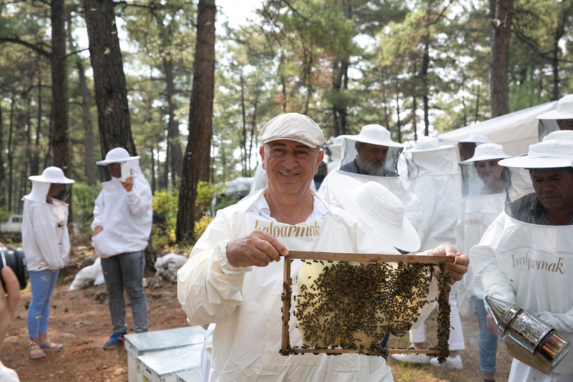 C4 metodu ile çam balı ihracatına doping - Resim : 1