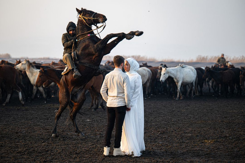 Kayseri kırsalında yaşayan yılkı atlarının yaşamlarından büyüleyici kareler - Resim: 20