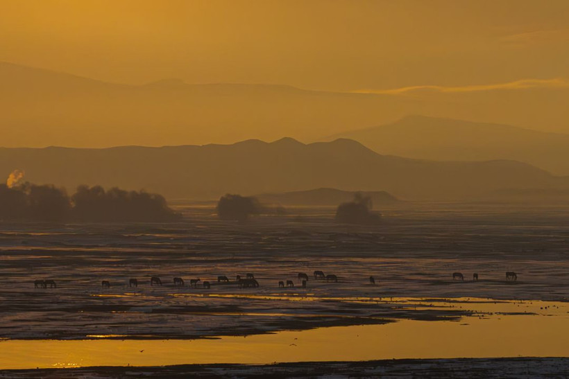 Kayseri kırsalında yaşayan yılkı atlarının yaşamlarından büyüleyici kareler - Resim: 3