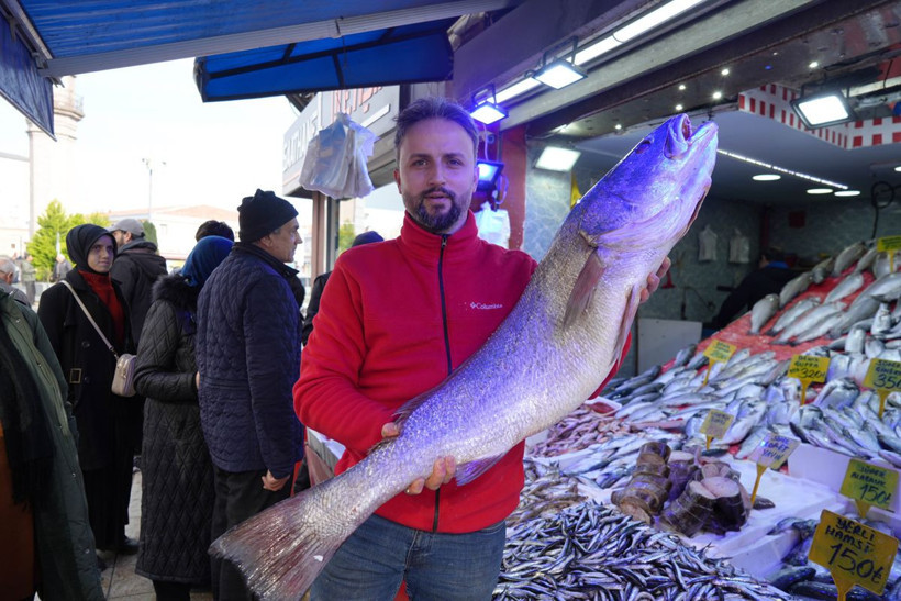 Gören köpekbalığı sanıyor! Karadeniz'de yakalandı, 10 dakikada 6 bin liraya satıldı - Resim: 1