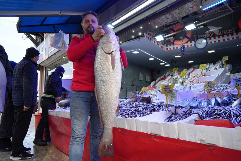Gören köpekbalığı sanıyor! Karadeniz'de yakalandı, 10 dakikada 6 bin liraya satıldı - Resim: 7