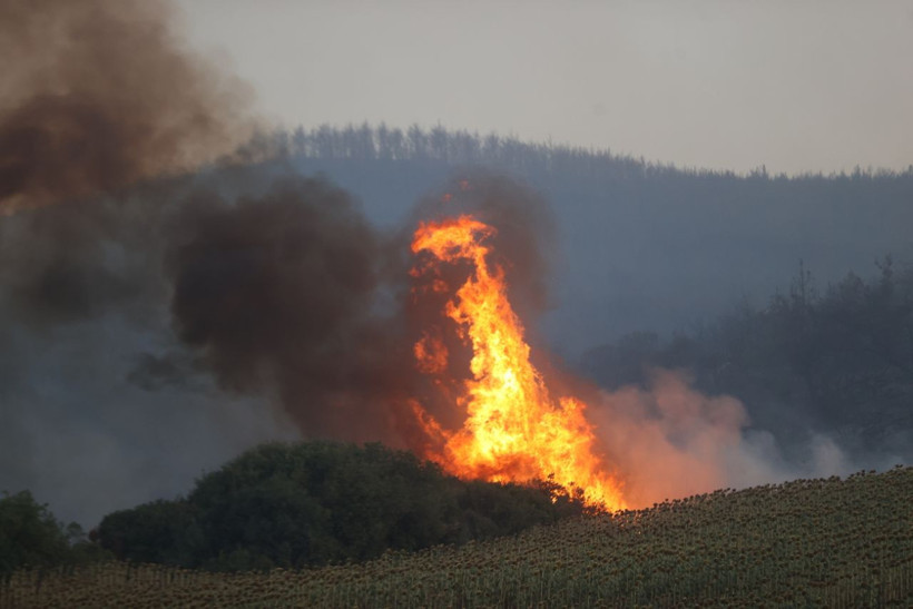 Tekirdağ'da başladı, Çanakkale'ye uzandı! 24 saattir süren yangına müdahale sürüyor: Bazı evler boşaltıldı - Resim: 7