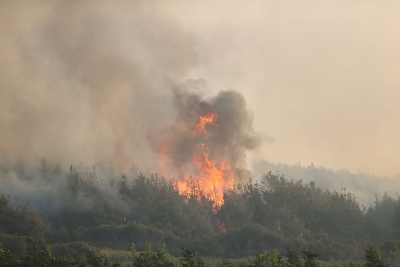 Tekirdağ'da başladı, Çanakkale'ye uzandı! 24 saattir süren yangına müdahale sürüyor: Bazı evler boşaltıldı - Resim: 8
