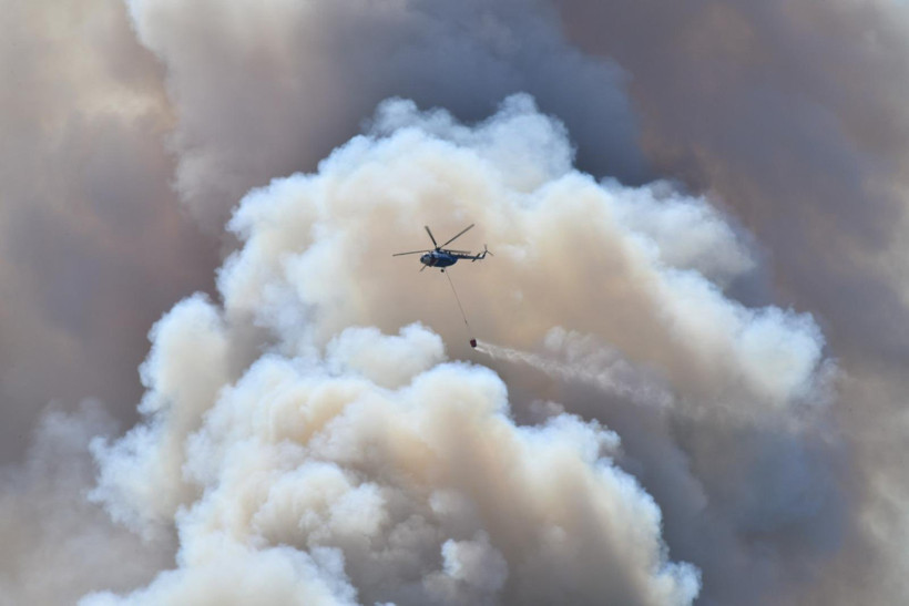 Tarım makineleri, ateş yakmak, ihmal… Orman yangınlarının sebepleri belli oldu: 4 kişi tutuklandı - Resim : 2