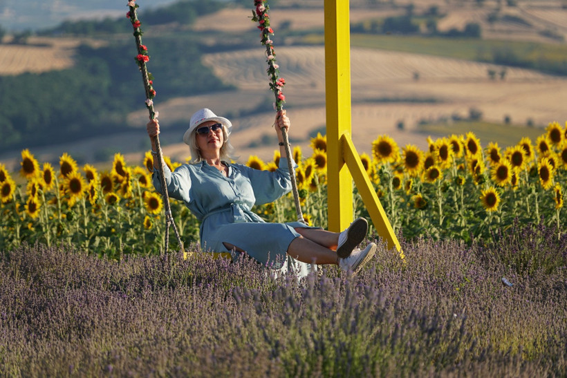 Lavanta ve ayçiçeği tarlaları Tekirdağ'a ziyaretçi akınına neden oldu - Resim : 1