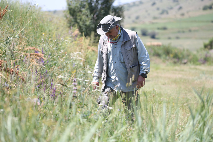 Bu bölgelerde kene ısırdıysa çok daha dikkatli olun! - Resim : 1