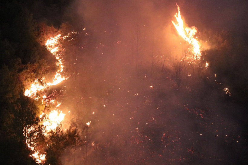 Çanakkale, Edirne, Hatay alev alev! Türkiye’nin orman yangınlarıyla mücadelesi sürüyor - Resim : 3