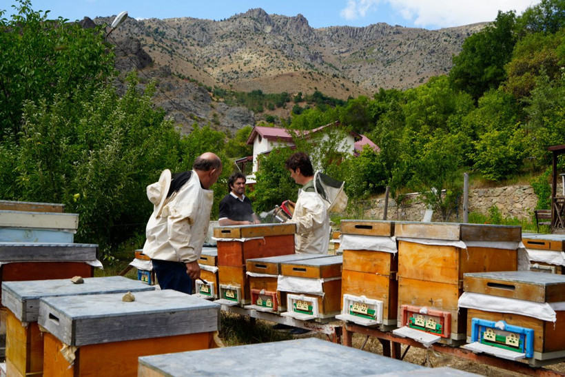 Anzer balına rakip! Kilosu 2 bin liraya kadar çıkıyor - Resim: 5