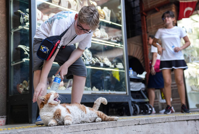 Garfield Tarçın tarihi hanın gözbebeği oldu! Şehir dışından ziyarete geliyorlar - Resim: 18