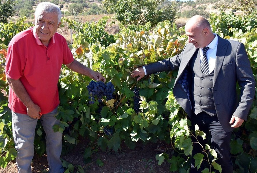 Devlet desteğiyle kurdu talebe yetişemiyor - Resim: 4